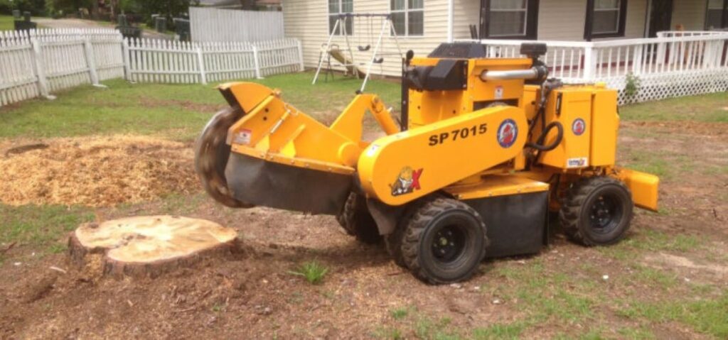 how much does stump grinding cost