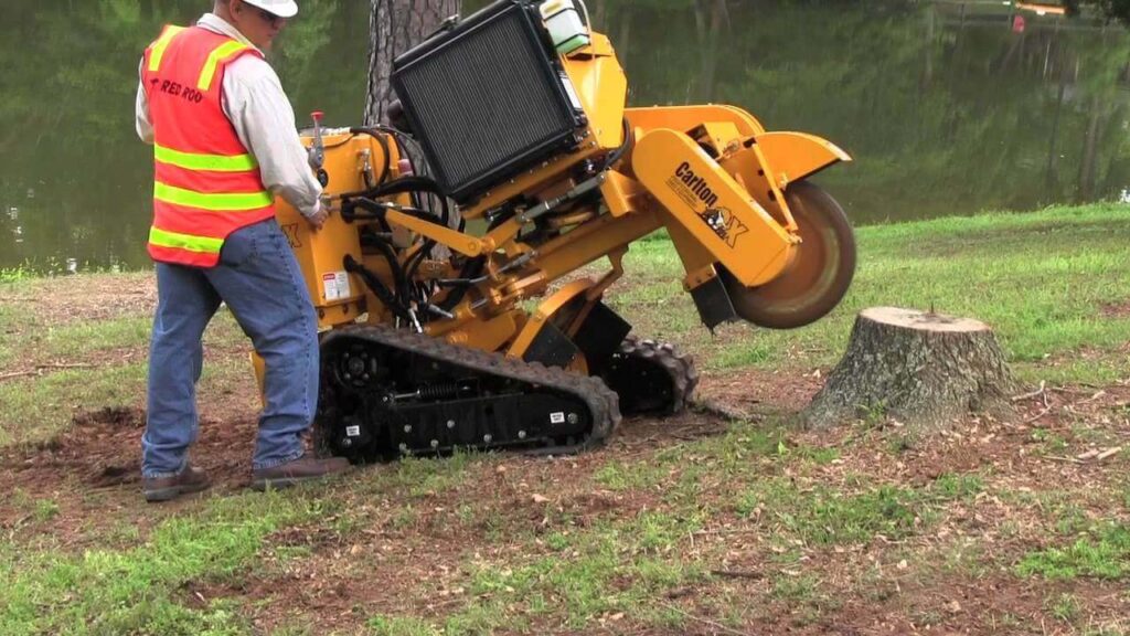 Professional Stump Removal1 Professional Stump Removal