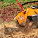 Tree Stump Grinding vs. Leaving It Alone: Pros and Cons