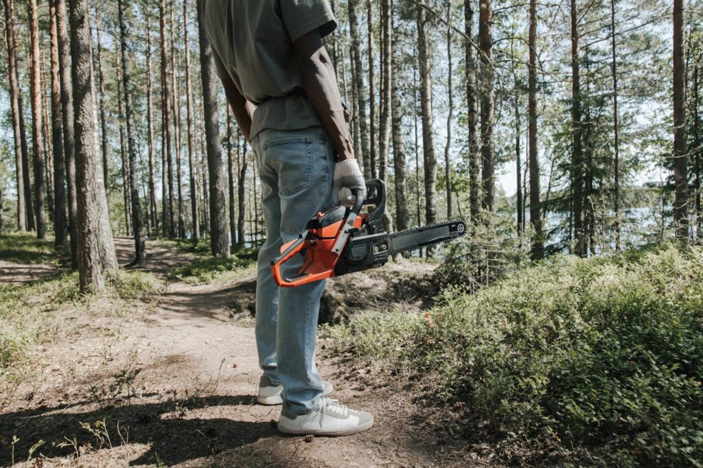 pexels-photo-8821021 A worker holding a chainsaw stands in a forest, surrounded by trees on a sunny day.