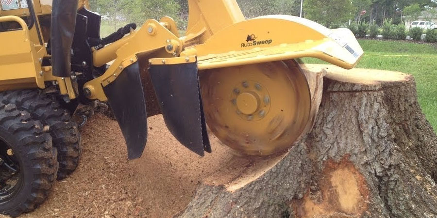 how much does stump grinding cost